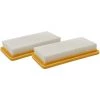 Vhbw 2x Filtres Protecteur De Moteur Pour Aspirateur Kärcher DS 5800, DS 6000 Comme 6.414-631.0, 6.414-631.